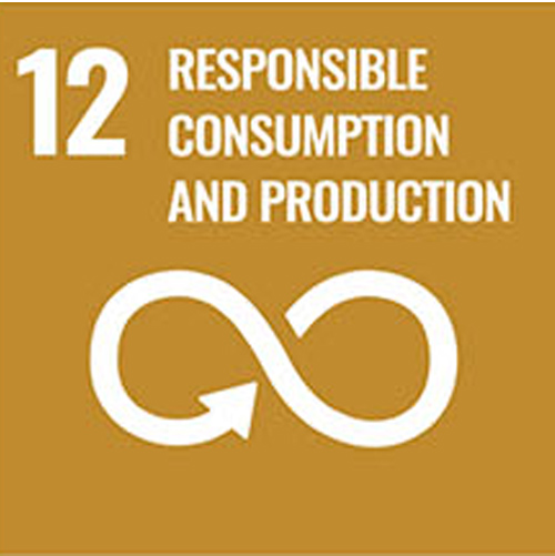 UN Sustainable Development Goal 12: Responsible Consumption and Production